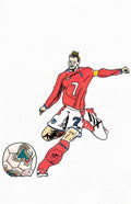 Becks Collection